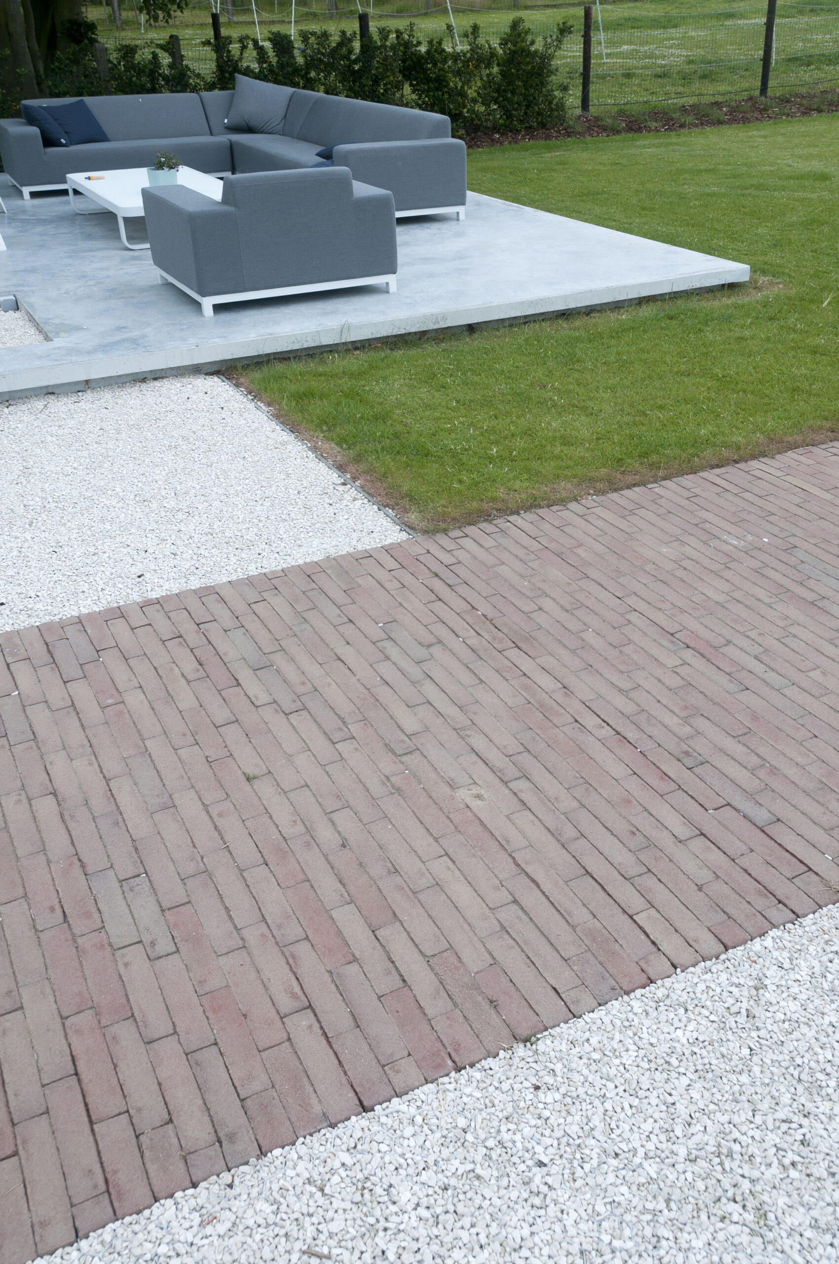Septima paars - Afbeelding 2