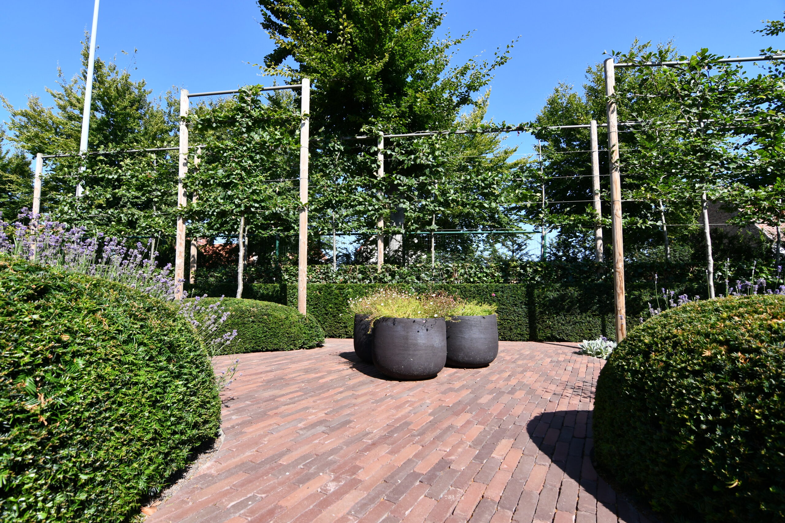 Septima terrestre - Afbeelding 4