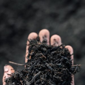 Groencompost
