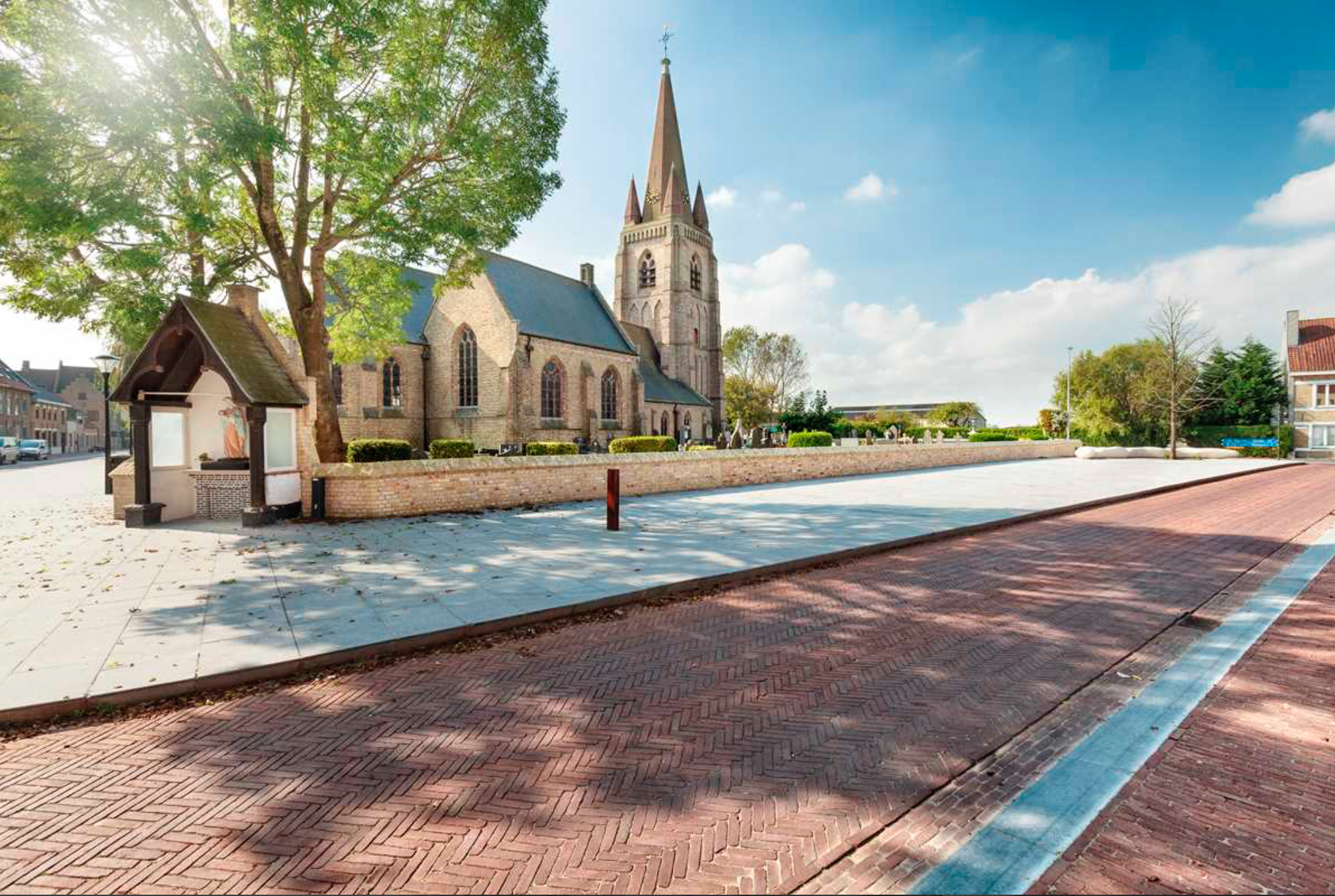 Septima mahonie - Afbeelding 2