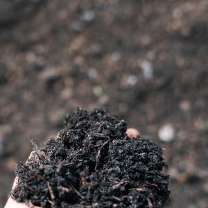 Mengeling groencompost/champost