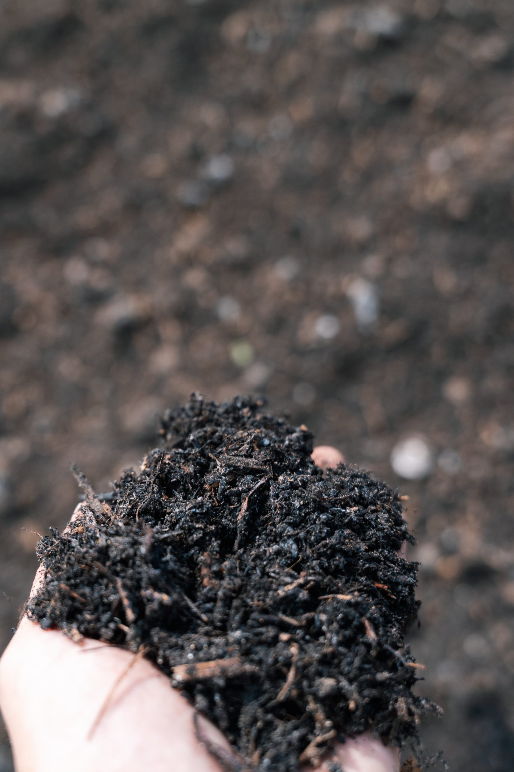 Mengeling groencompost/champost