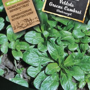 Veldsla Groene Cambrai