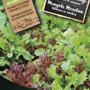 Mengsla Mesclun