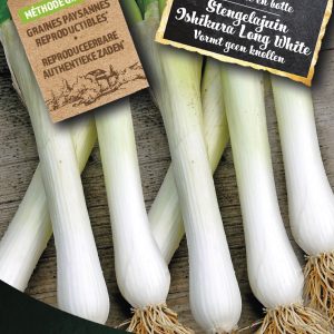Stengelajuin Ishikura Long White
