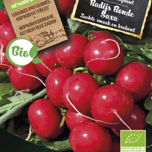 Radijs Ronde Saxa BIO