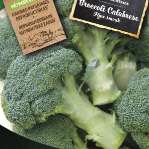 Broccoli Calabrese
