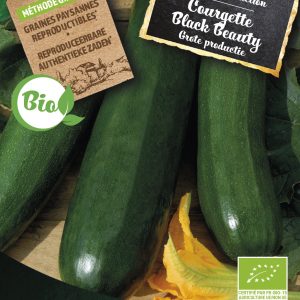 Courgette Black Beauty BIO