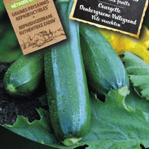Courgette Donkergroene Vollegrond