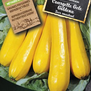 Courgette Gele Goldena