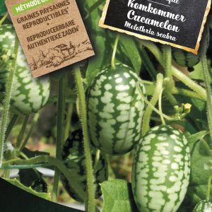 Komkommer Cucamelon