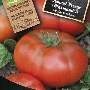 Tomaat Vroege "Marmande"