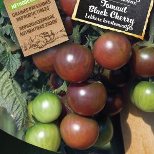 Tomaat Black Cherry