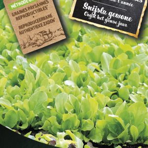 Snijsla gewone
