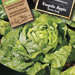 Kropsla Appia