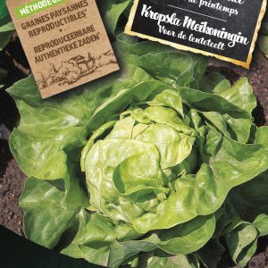 Kropsla Meikoningin