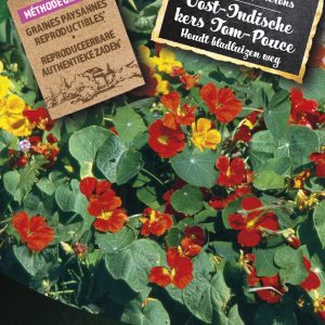 Oost-Indische kers Tom-Pouce