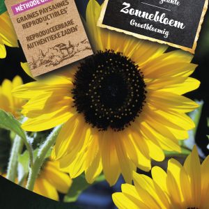 Zonnebloem