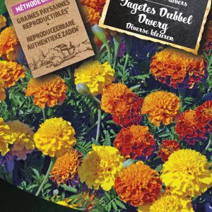 Tagetes Dubbel Dwerg