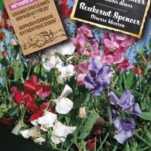 Reukerwt Spencer