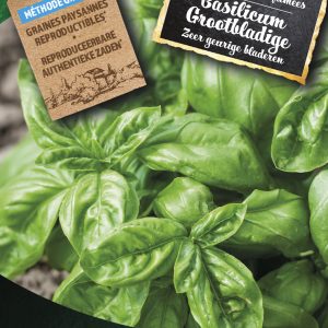 Basilicum Grootbladige