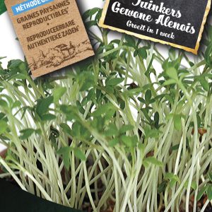 Tuinkers Gewone Alenois