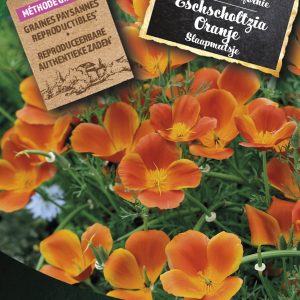 Eschscholtzia Oranje