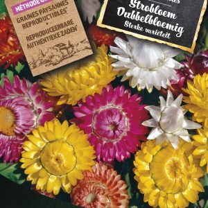 Strobloem Dubbelbloemig