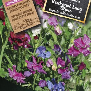 Reukerwt Laag Bijou