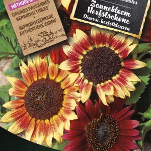 Zonnebloem Herfstschone