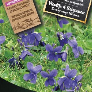 Viooltje 4 Seizoenen