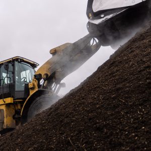 Compost